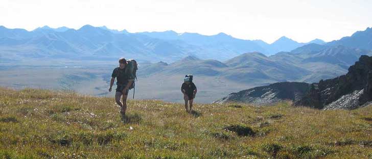 hiking-to-magic-bus.jpg.838x0_q80