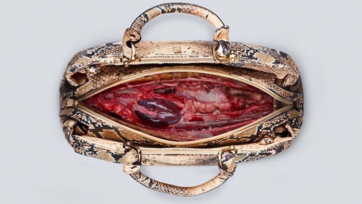 behind-leather-bag-anti-animal-cruelty-campaign-peta-asia-7