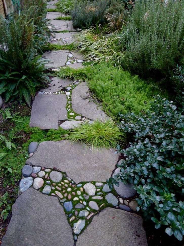 patio-sendero-ideas-helechos 2